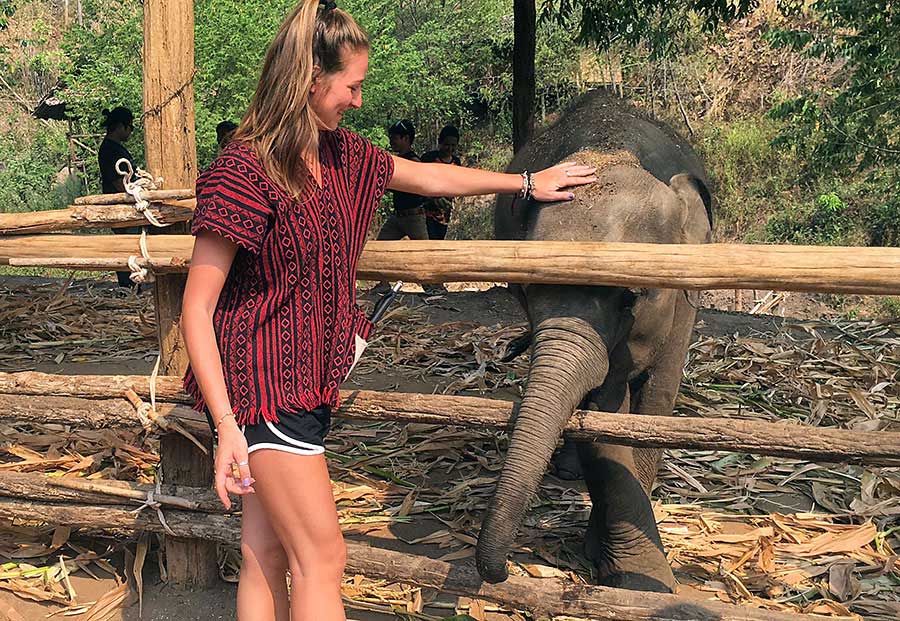 TEFL Thailand - Elephant