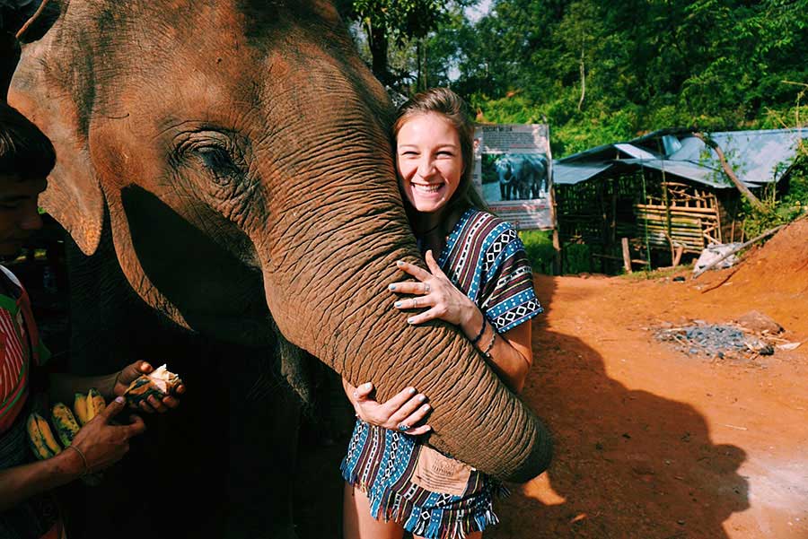 TEFL Thailand - Elephant