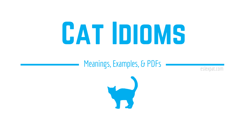 Cat Idioms List