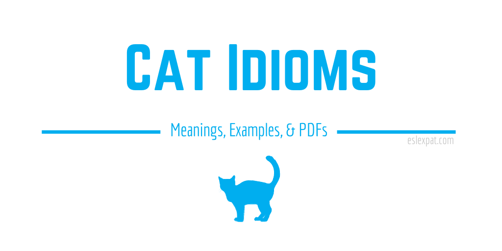 Cat Idioms - Funky English