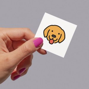 Flashcard Sample - Dog